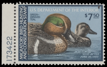Scan of RW46 1979 Duck Stamp. MLH