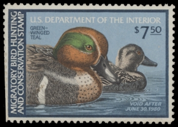 Scan of RW46 1979 Duck Stamp. Unsigned