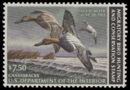 Scan of RW49 1982 Duck Stamp. MLH