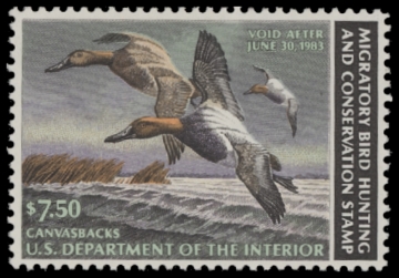 Scan of RW49 1982 Duck Stamp. MLH