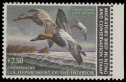 Scan of RW49 1982 Duck Stamp 