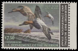 Scan of RW49 1982 Duck Stamp. Unsigned