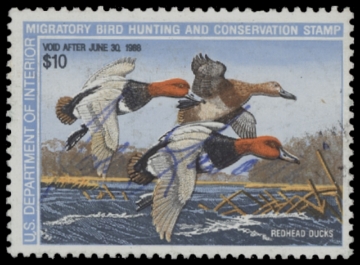 Scan of RW54 1987 Duck Stamp. Used. F-VF