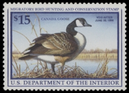 Scan of RW64 1997 Duck Stamp. MLH