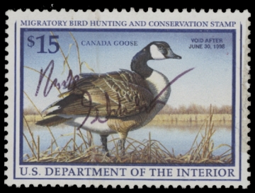 Scan of RW64 1997 Duck Stamp. Used F-VF