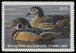 Scan of 1993 Wisconsin Duck Stamp