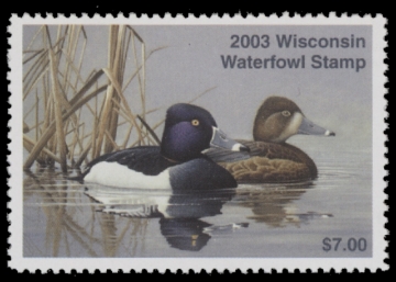 Scan of 2003 Wisconsin Duck Stamp