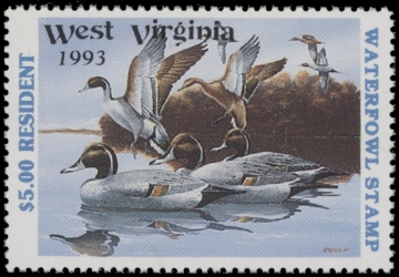 Scan of 1993 West Virginia Duck Stamp