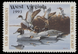 Scan of 1993 West Virginia Duck Stamp