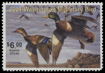 Scan of 2001 Washington Duck Stamp