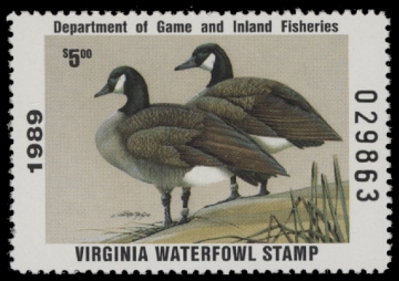 Scan of 1989 Virginia Duck Stamp