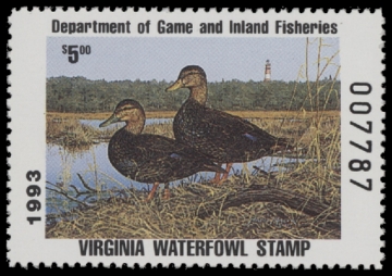 Scan of 1993 Virginia Duck Stamp