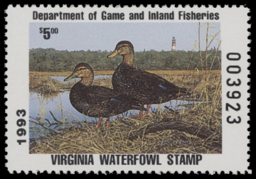 Scan of 1993 Virginia Duck Stamp