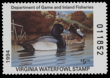 Scan of 1994 Virginia Duck Stamp