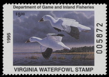 Scan of 1995 Virginia Duck Stamp