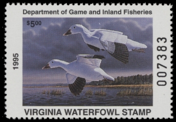 Scan of 1995 Virginia Duck Stamp