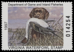 Scan of 1997 Virginia Duck Stamp