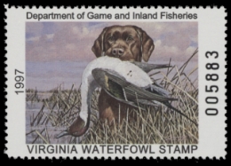 Scan of 1997 Virginia Duck Stamp