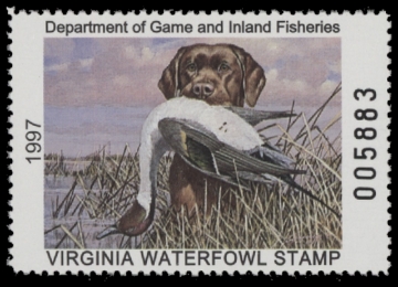 Scan of 1997 Virginia Duck Stamp