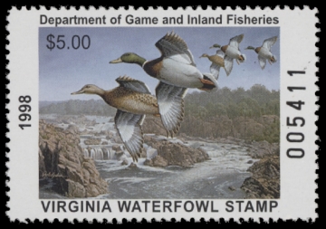 Scan of 1998 Virginia Duck Stamp