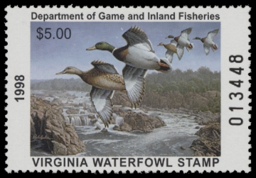 Scan of 1998 Virginia Duck Stamp