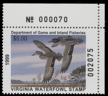 Scan of 1999 Virginia Duck Stamp