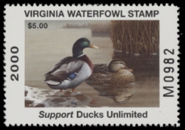 Scan of 2000 Virginia Duck Stamp