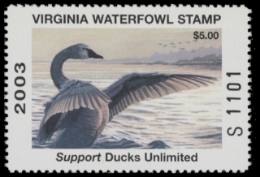 Scan of 2003 Virginia Duck Stamp