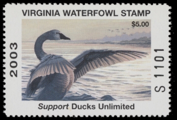 Scan of 2003 Virginia Duck Stamp