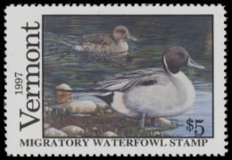 Scan of 1997 Vermont Duck Stamp