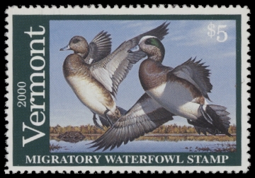 Scan of 2000 Vermont Duck Stamp