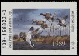 Scan of 1989 Texas Duck Stamp