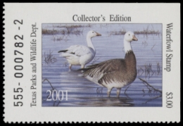 Scan of 2001 Texas Duck Stamp