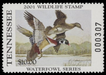 Scan of 2001 Tennessee Duck Stamp