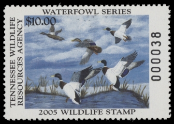 Scan of 2005 Tennessee Duck Stamp