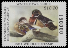 Scan of 2011 Tennessee Duck Stamp