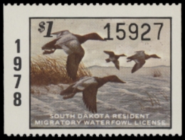 Scan of 1978 South Dakota Duck Stamp