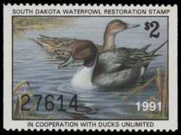 Scan of 1991 South Dakota Duck Stamp