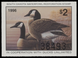 Scan of 1996 South Dakota Duck Stamp