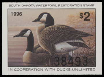 Scan of 1996 South Dakota Duck Stamp