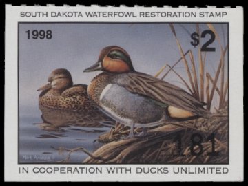 Scan of 1998 South Dakota Duck Stamp