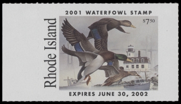 Scan of 2001 Rhode Island Duck Stamp