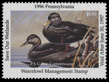 Scan of 1996 Pennsylvania Duck Stamp