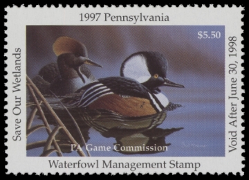 Scan of 1997 Pennsylvania Duck Stamp