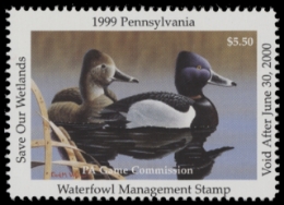 Scan of 1999 Pennsylvania Duck Stamp