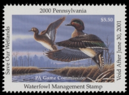 Scan of 2000 Pennsylvania Duck Stamp