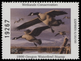 Scan of 1999 Oregon Duck Stamp