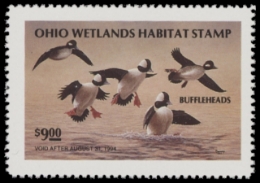 Scan of 1993 Ohio Duck Stamp