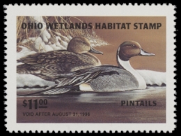 Scan of 1995 Ohio Duck Stamp