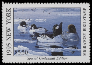 Scan of 1995 New York Duck Stamp